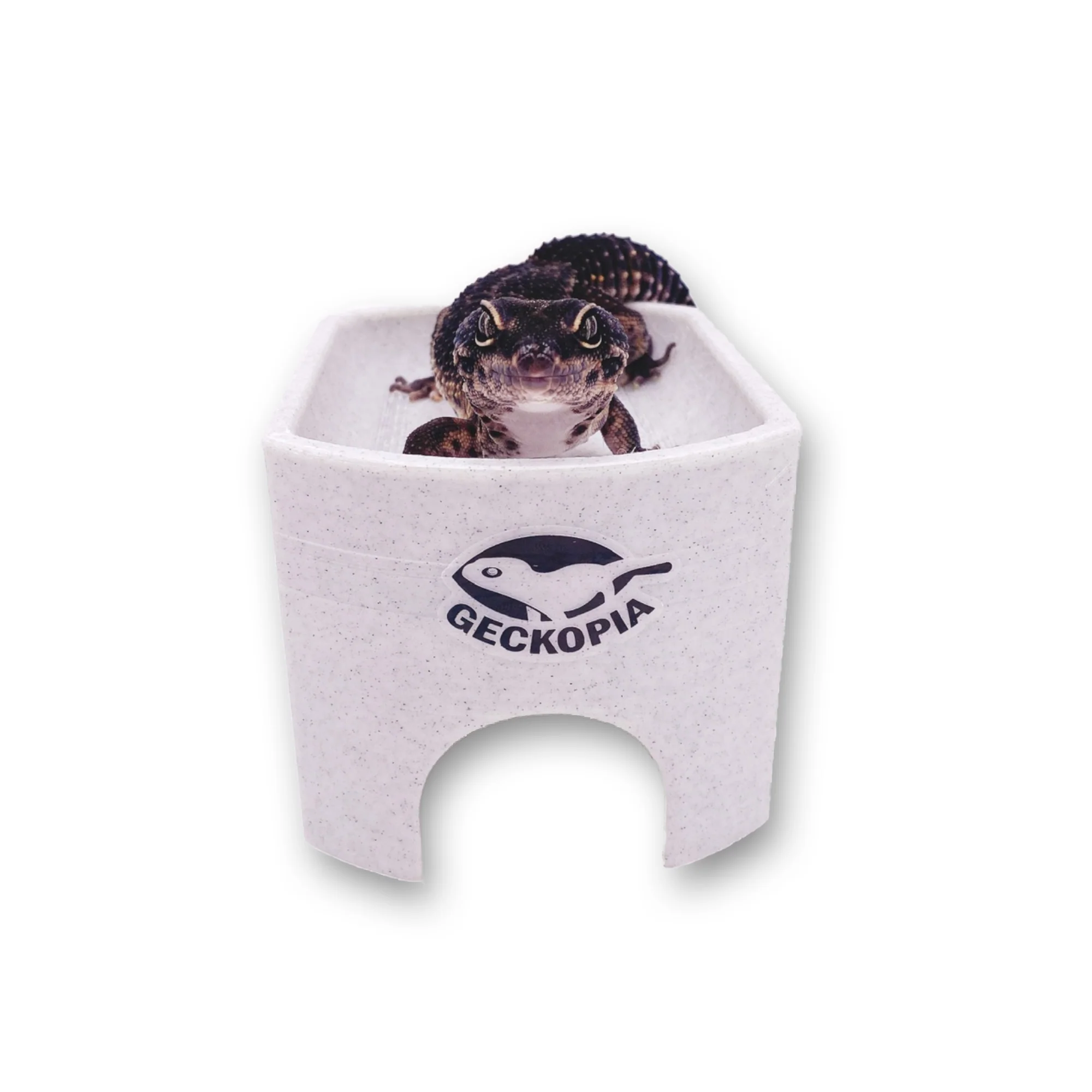 Gecko Place - Image 4